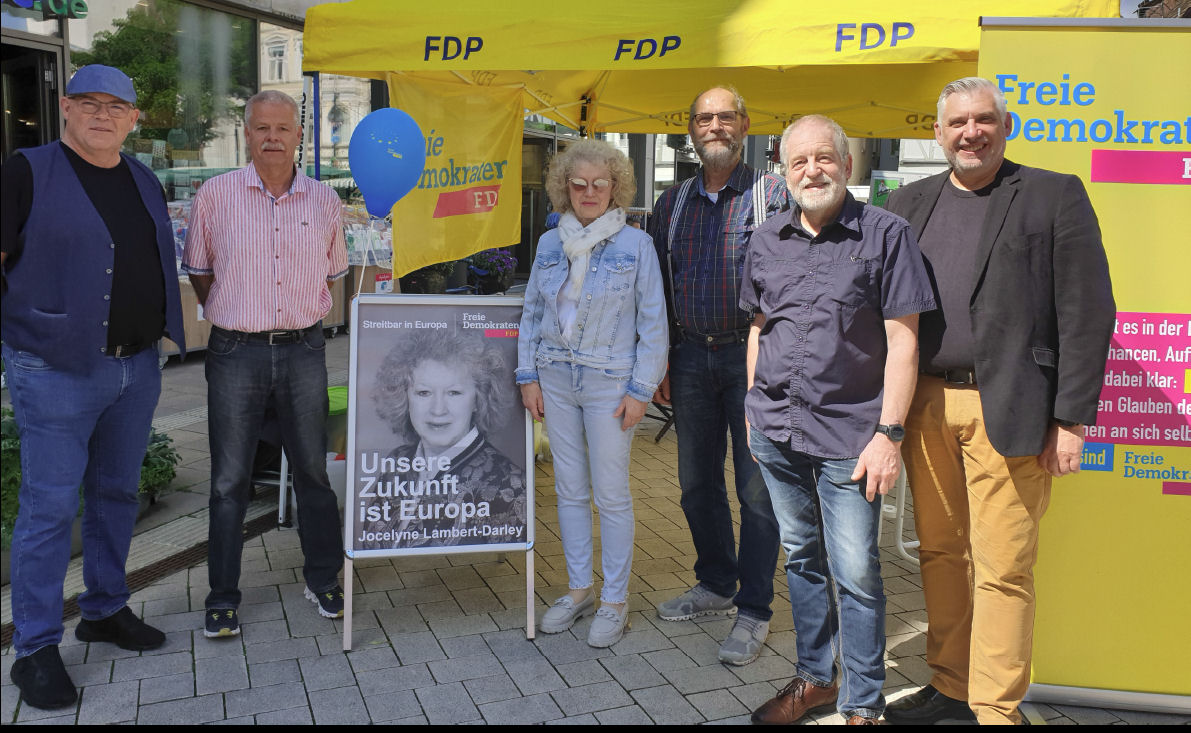 fdphx WahlstandHX 6