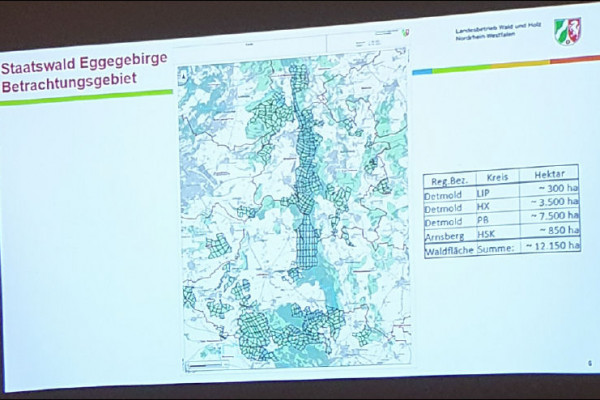 fdphx-borlinghausen-2B3F77545-37F5-B96E-360C-CE75A1D764B9.jpg